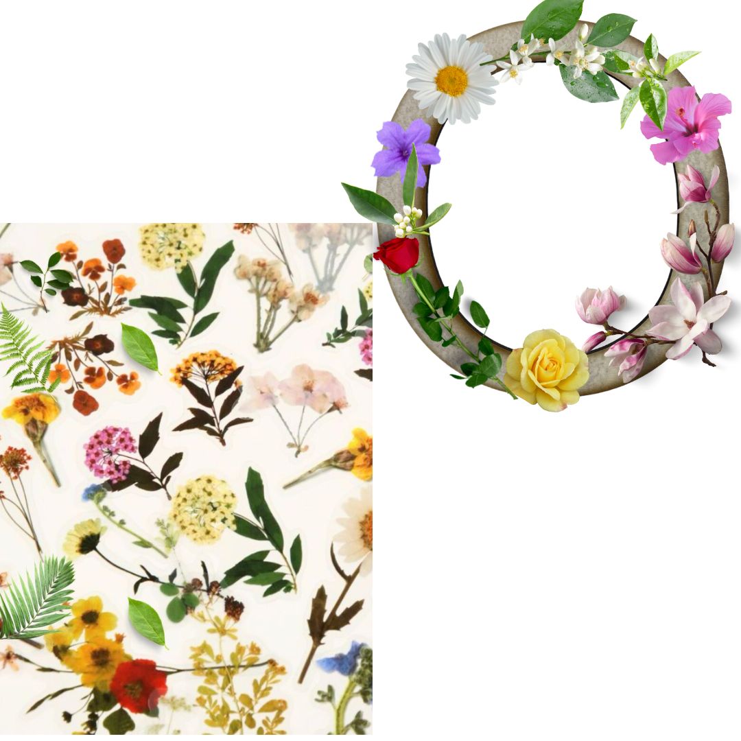 Alphabet - Letter O - Choose Your Decorations