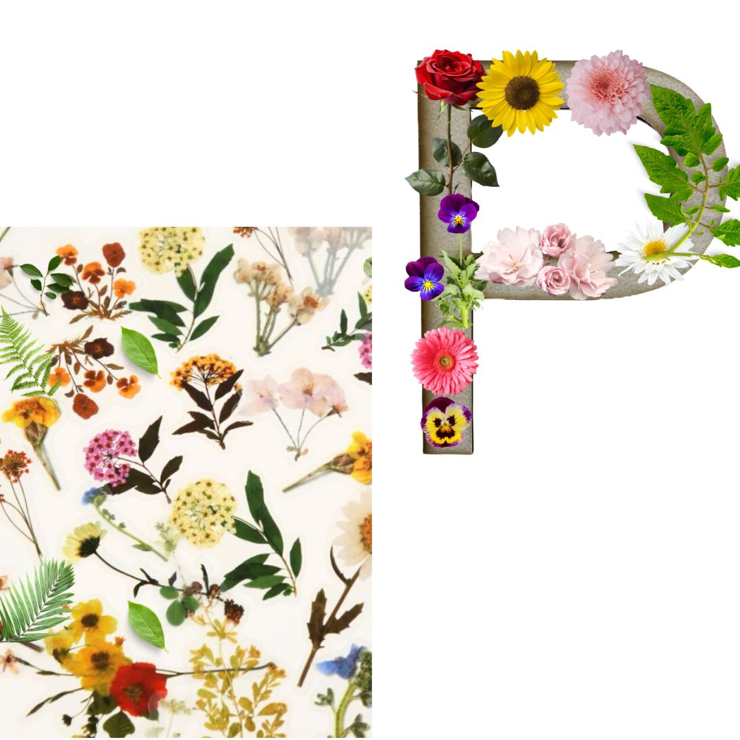 Alphabet - Letter P - Choose Your Decorations