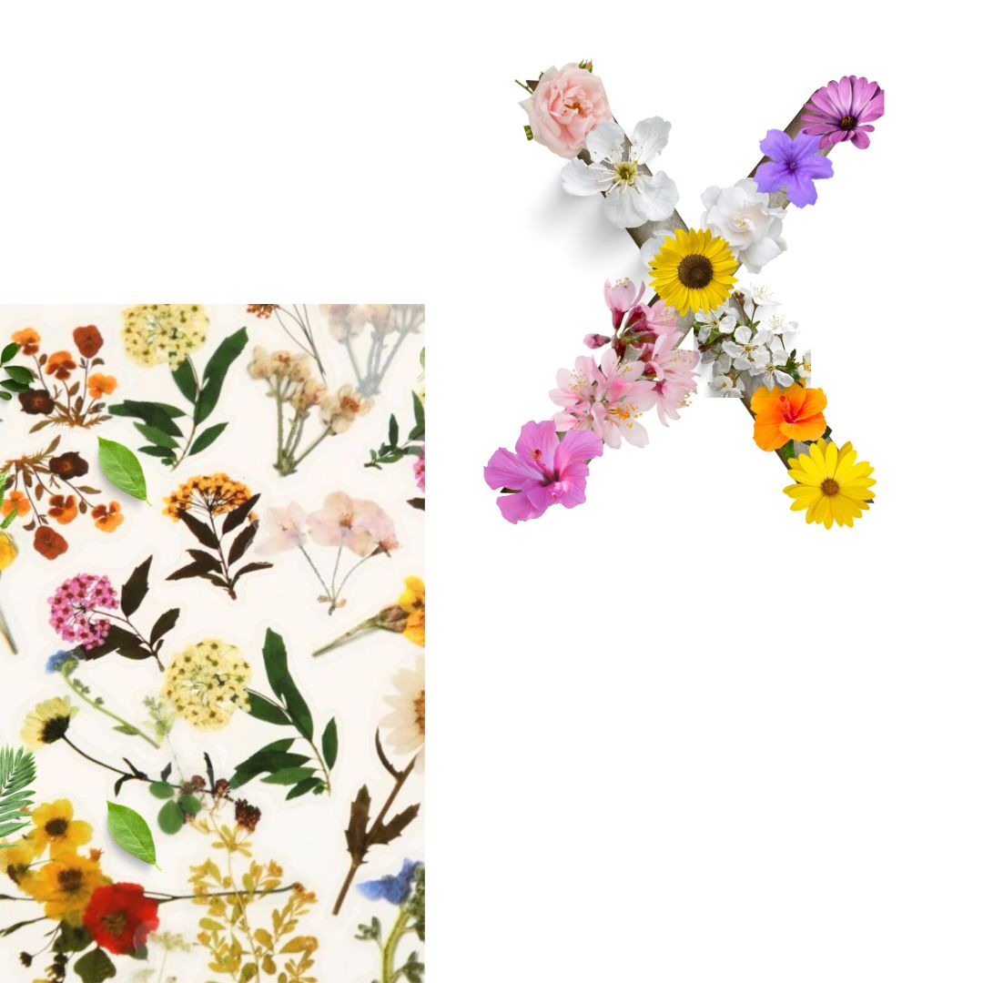 Alphabet - Letter X - Choose Your Decorations