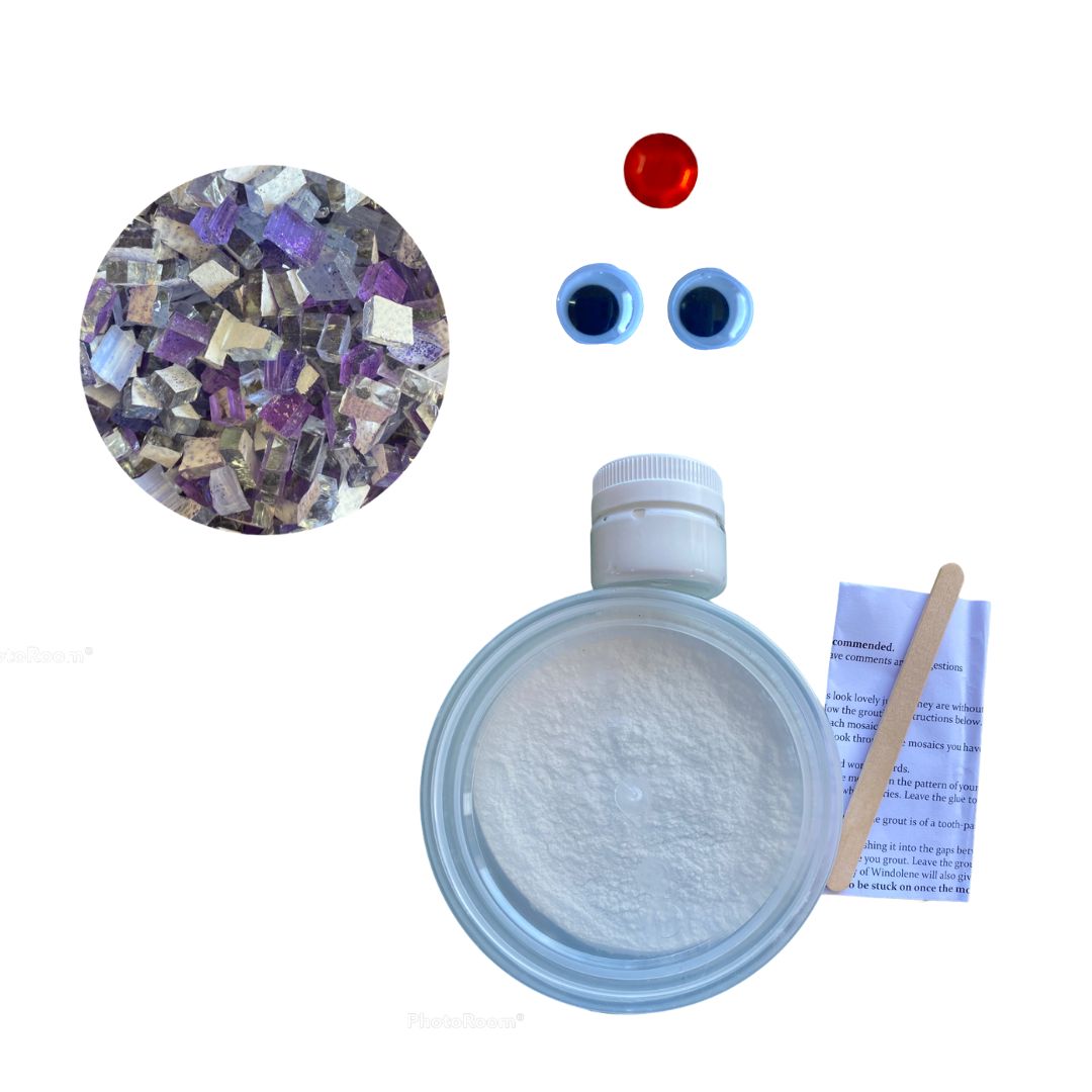 Mosaic Craft Kit with Magnet- Octopus (Small)