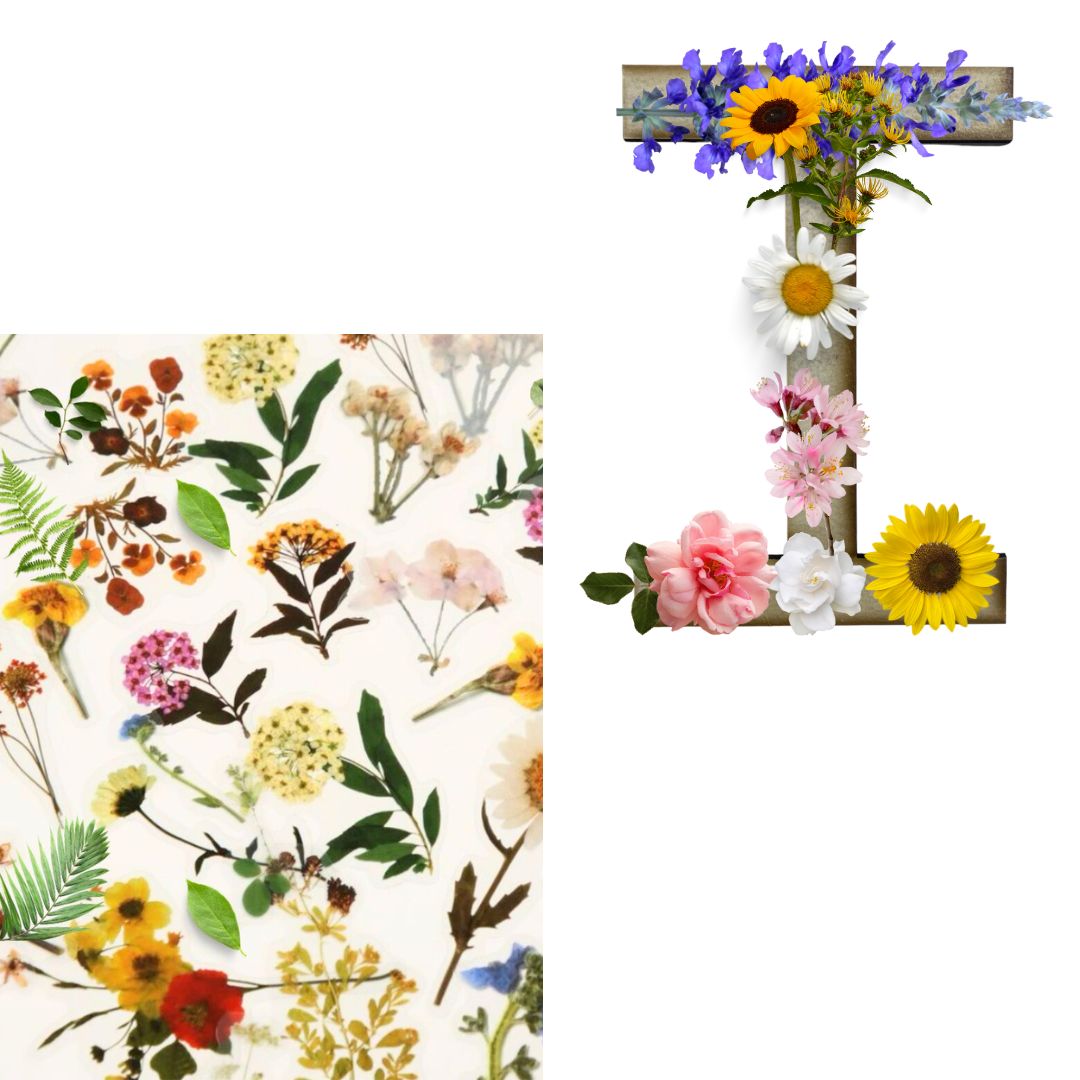 Alphabet - Letter I - Choose Your Decorations
