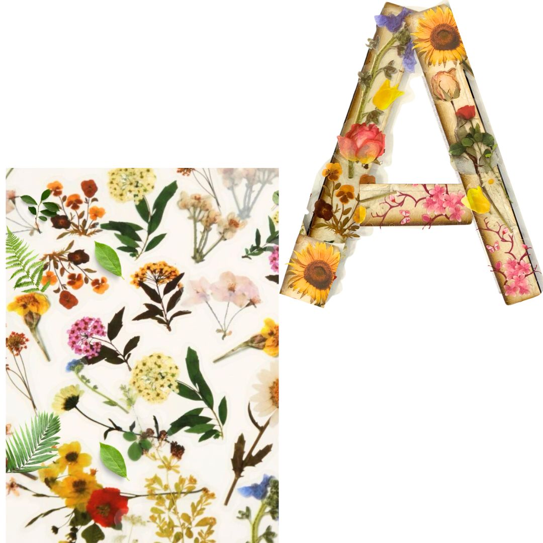 Alphabet - Letter A - Choose Your Decorations