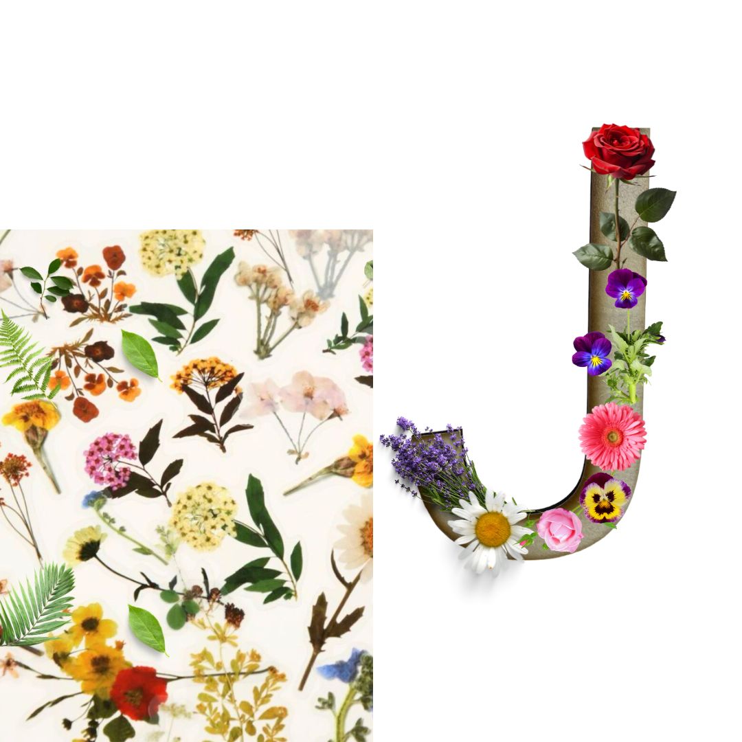 Alphabet - Letter J - Choose Your Decorations