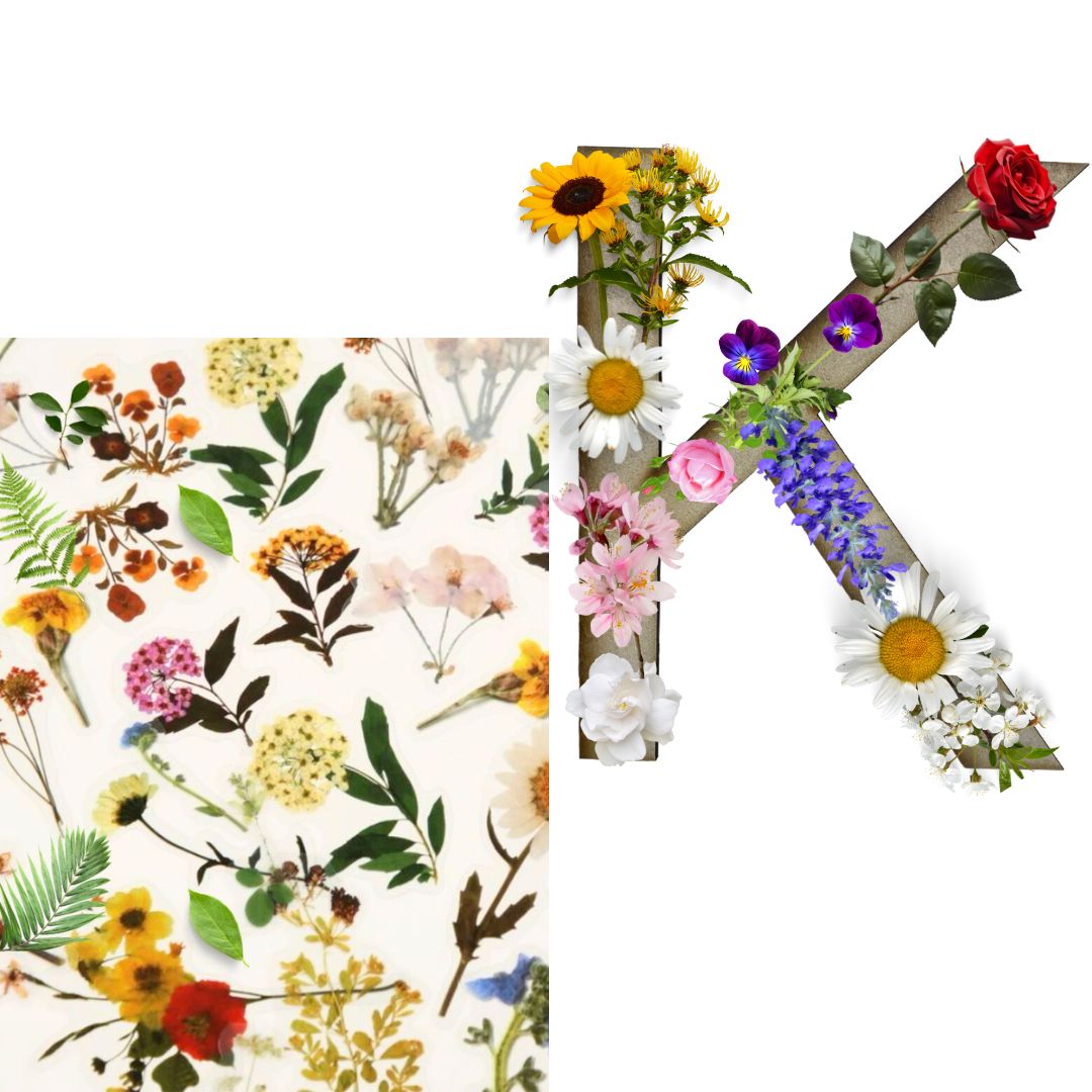 Alphabet - Letter K - Choose Your Decorations