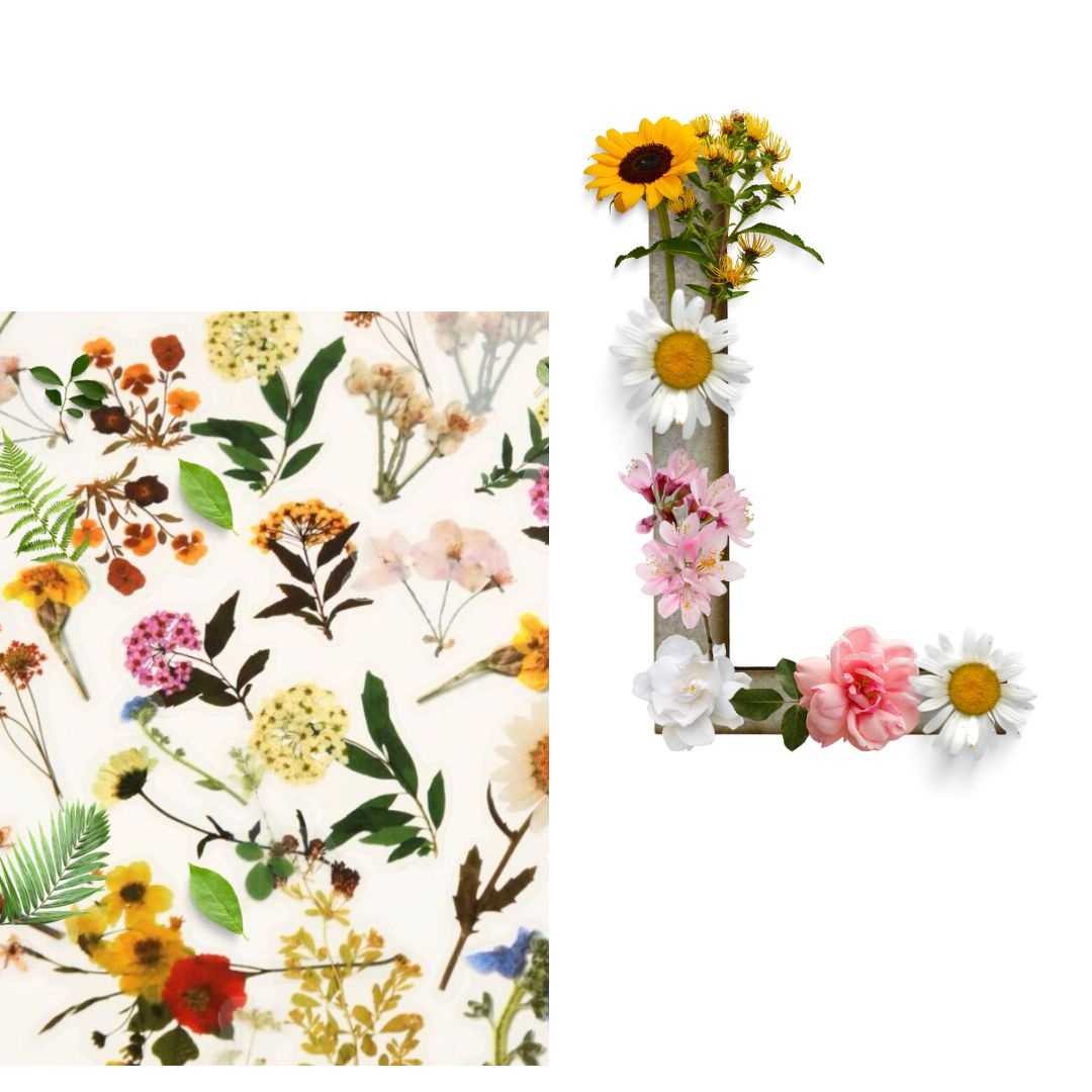 Alphabet - Letter L - Choose Your Decorations