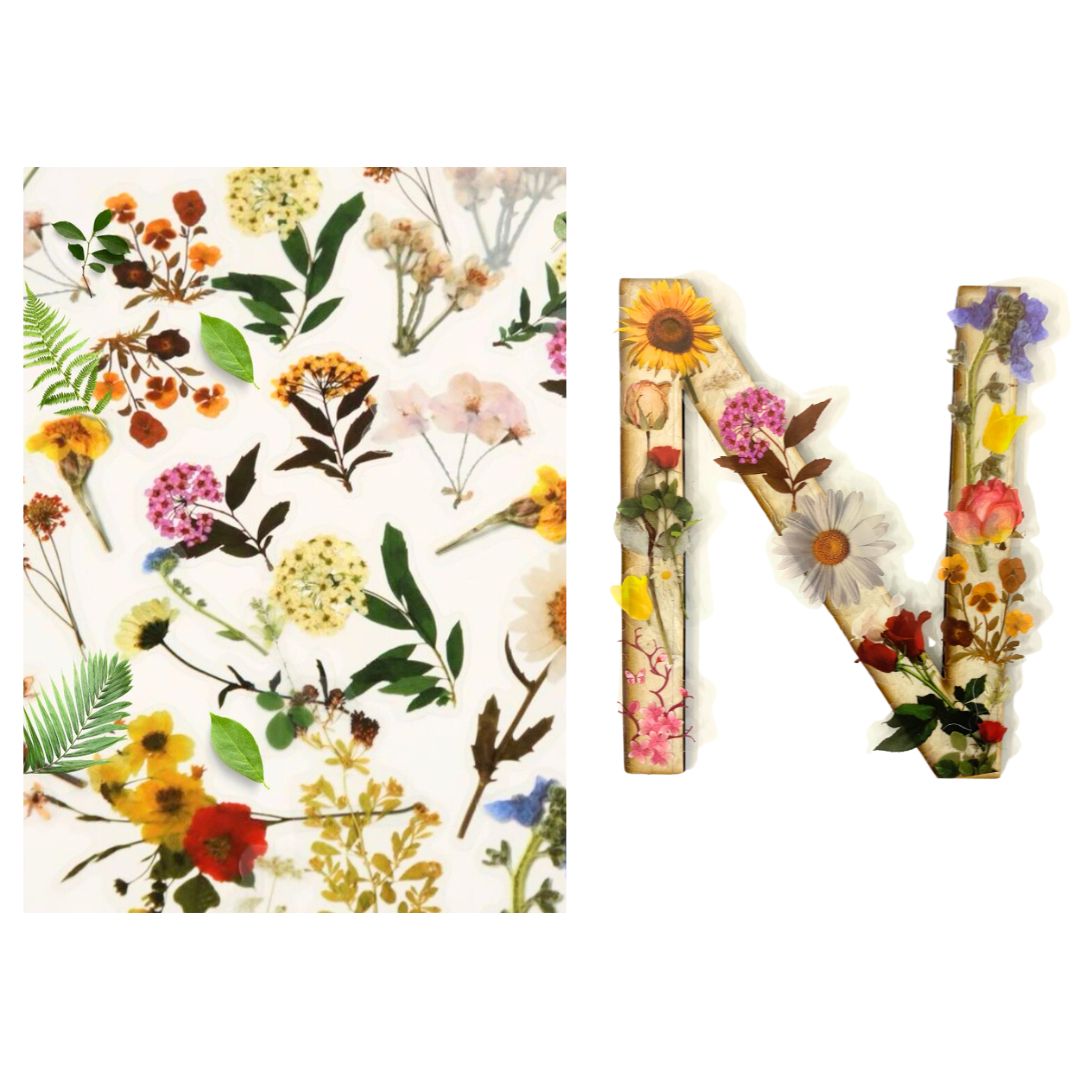 Alphabet - Letter N - Choose Your Decorations