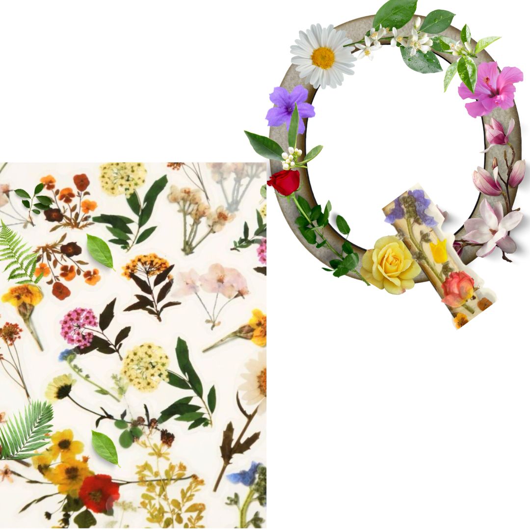 Alphabet - Letter Q - Choose Your Decorations
