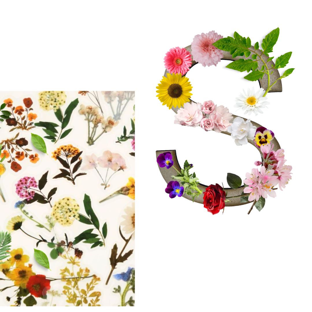 Alphabet - Letter S - Choose Your Decorations