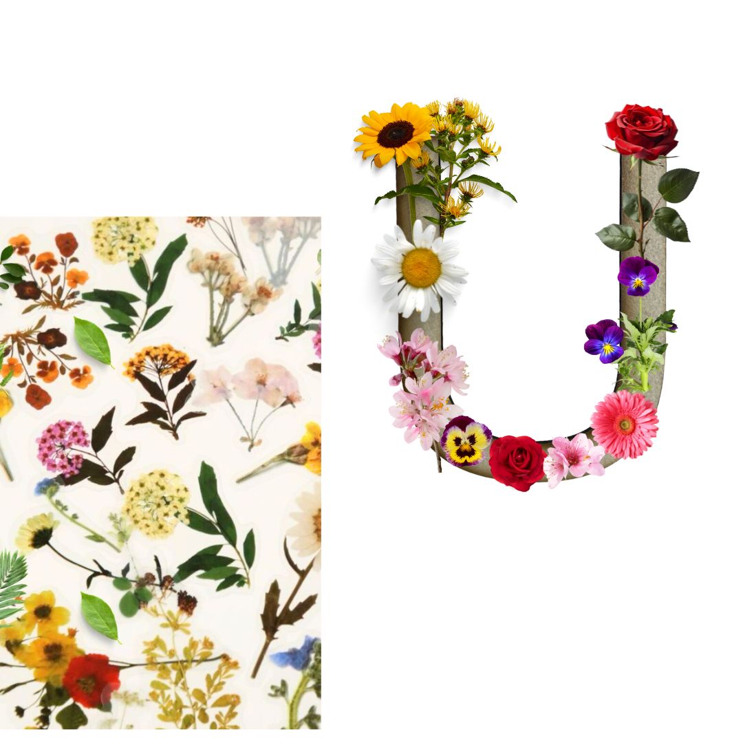 Alphabet - Letter U - Choose Your Decorations