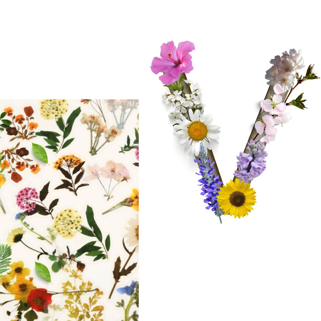 Alphabet - Letter V - Choose Your Decorations