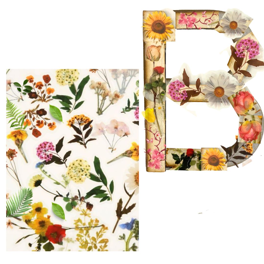 Alphabet - Letter B - Choose Your Decorations