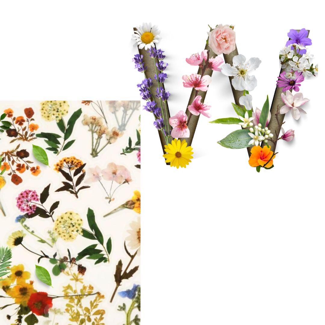 Alphabet - Letter W - Choose Your Decorations
