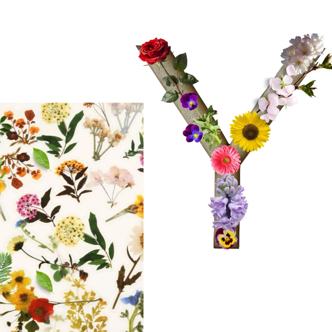 Alphabet - Letter Y - Choose Your Decorations