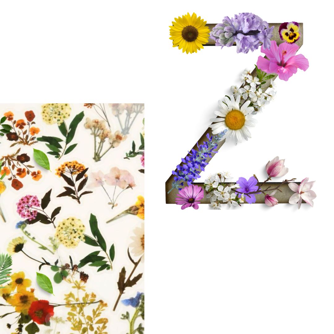Alphabet - Letter Z - Choose Your Decorations