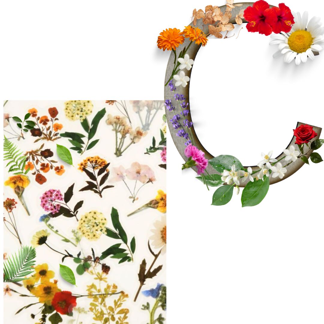 Alphabet - Letter C - Choose Your Decorations