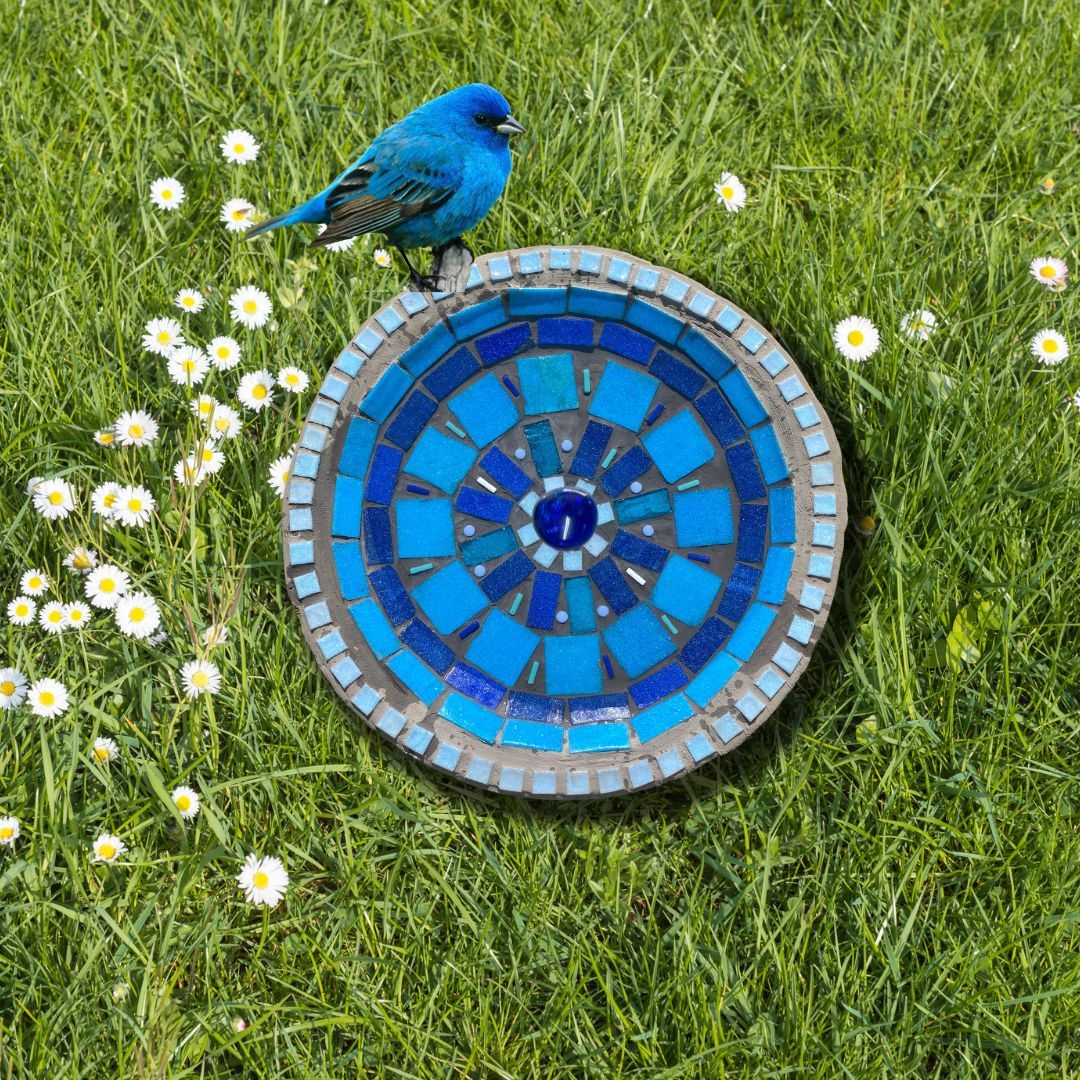 How to Mosaic a Bird Bath