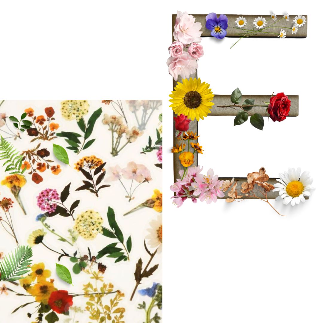 Alphabet - Letter E - Choose Your Decorations