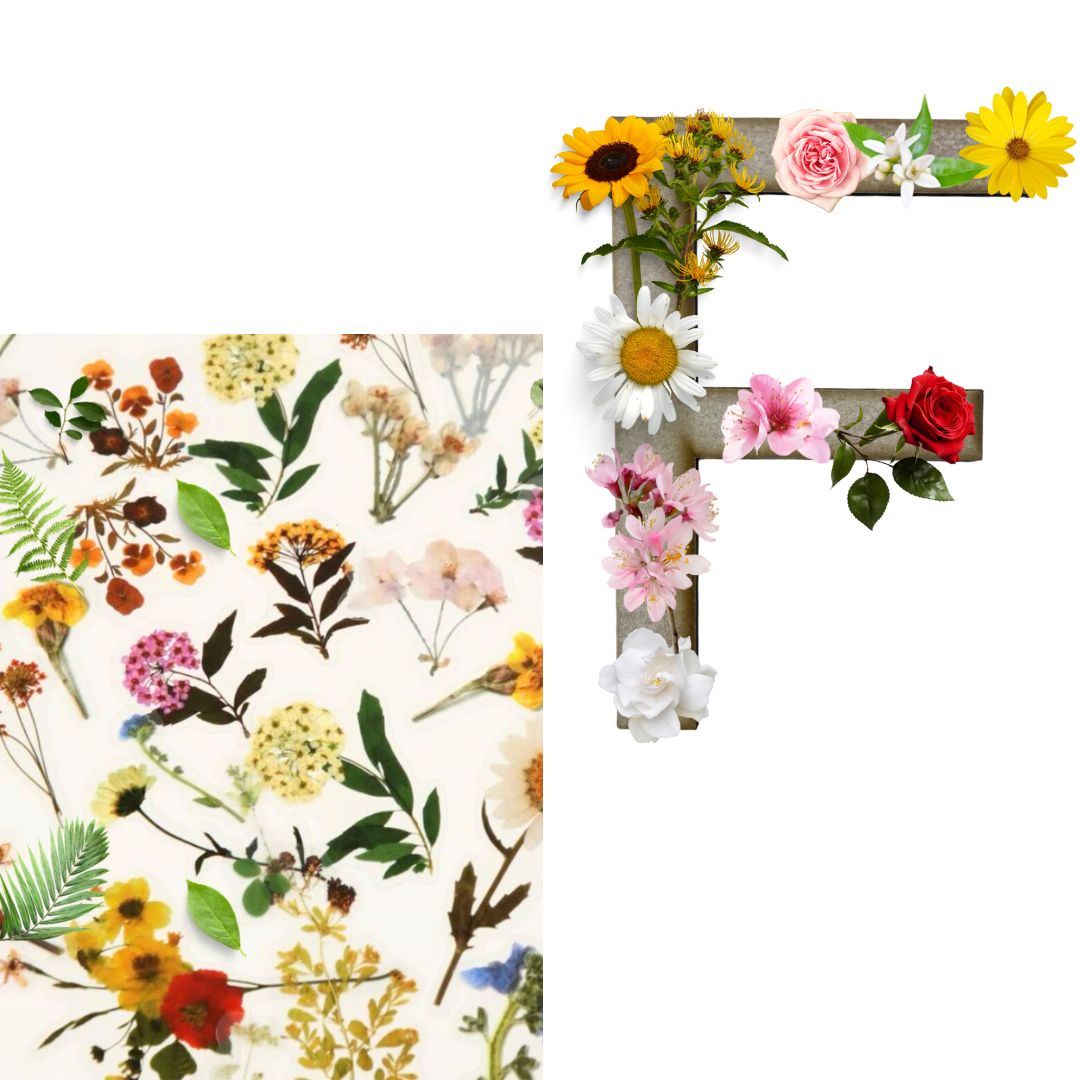Alphabet - Letter F - Choose Your Decorations