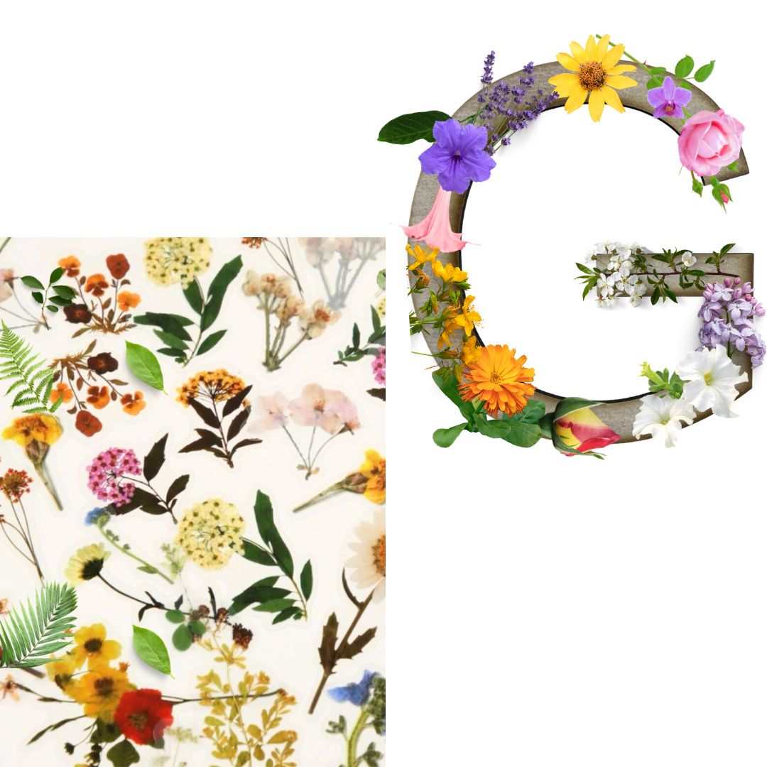 Alphabet - Letter G - Choose Your Decorations