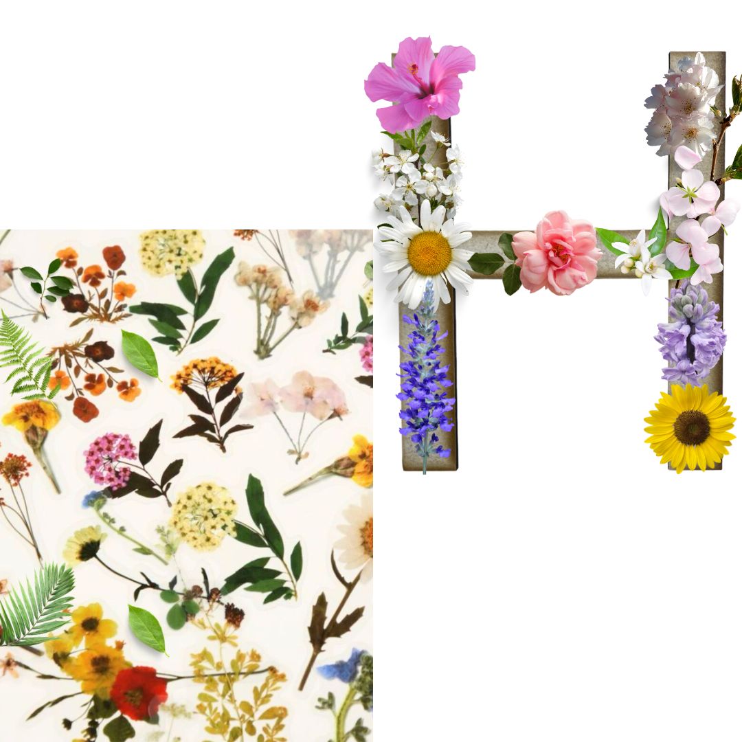 Alphabet - Letter H - Choose Your Decorations